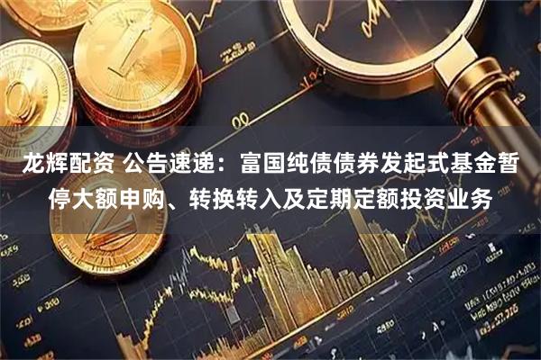 龙辉配资 公告速递：富国纯债债券发起式基金暂停大额申购、转换转入及定期定额投资业务