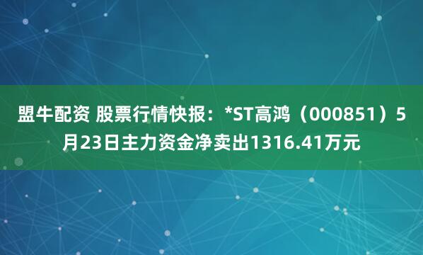 盟牛配资 股票行情快报：*ST高鸿（000851）5月23日主力资金净卖出1316.41万元
