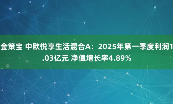 金策宝 中欧悦享生活混合A：2025年第一季度利润1.03亿元 净值增长率4.89%