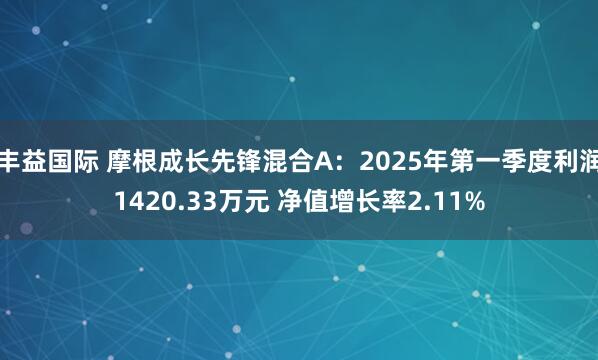 丰益国际 摩根成长先锋混合A：2025年第一季度利润1420.33万元 净值增长率2.11%