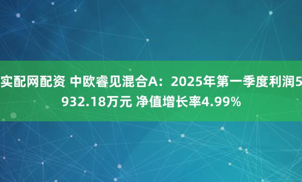 实配网配资 中欧睿见混合A：2025年第一季度利润5932.18万元 净值增长率4.99%